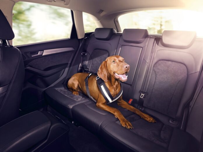 AccesoriosOriginalesAudi_1.jpg