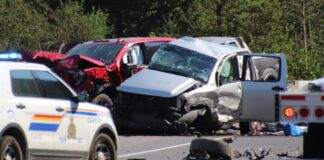 EE.UU. ¿Cuáles son los 10 estados con más víctimas mortales por accidentes de tráfico?
